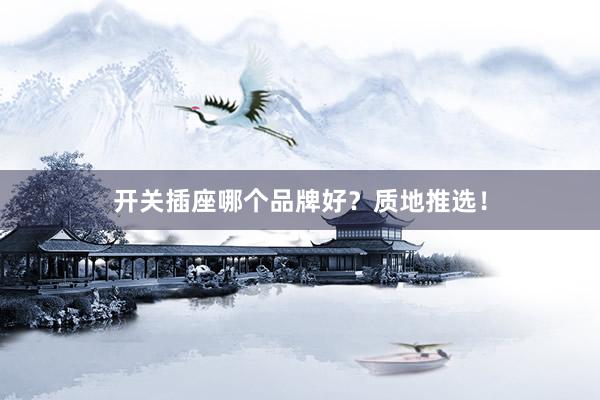 开关插座哪个品牌好？质地推选！