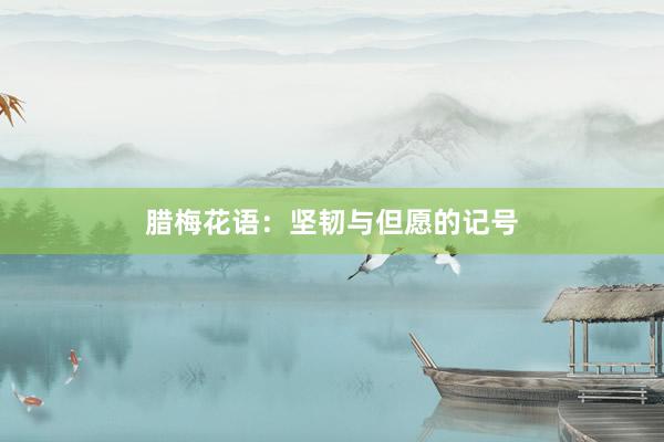腊梅花语：坚韧与但愿的记号